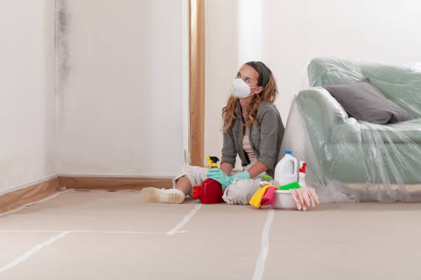Reliable Black Mold Removal contractor in Glassboro, NJ by WQB Mold Removal